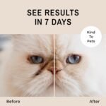 Eye Envy Tear Stain Remover Powder for Dogs and Cats. Natural, Safe Formula. Apply Around Eyes. Absorbs and Cleans Tears and Staining. Keeps Area Dry. Made in The USA. (.5 oz) - Image 4