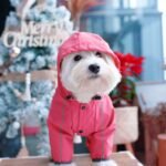 Dog Raincoat, Waterproof Dog Rain Jacket with Hood, Rain Coat with Leash Hole, Reflective Strap for Small Medium Dogs, Outdoor Adventures/Walking Lightweight Puppy（Pink,S） - Image 7