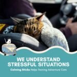 ALBERT & MIA Lickable Cat Calming Treats, Stress & Anxiety Relief, 20 Pack | Vet recommended sleep aid for indoor kittens and adult felines, soothes grooming, car rides, vet visits and plane trips - Image 6