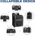 Apollo Walker Cat Carrier Backpack for Small Dogs and Cats Up to 18 lb | Side Pockets, Four-Sided Breathable Mesh, Stability Package, Removable Pad,3D back panel,Thickened shoulder straps - Image 6
