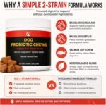 Dog Probiotics Chews - Gut Health - Salmon - 60 Chews - Image 4