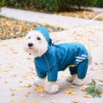 Dog Raincoat, Waterproof Dog Rain Jacket with Hood, Rain Coat with Leash Hole, Reflective Strap for Small Medium Dogs, Outdoor Adventures/Walking Lightweight Puppy (Blue,M) - Image 8