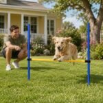 Dog Agility Training Equipment Set, Adjustable Jump Bars, 6 Piece | Includes adjustable jumps and carrying bag for agility training, exercise, coordination, and interactive play with dogs. - Image 5