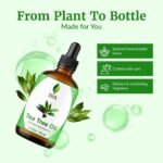SVA Tea Tree Essential Oil, Glass Bottle with Dropper, 4 Fl Oz (118 ml) | Tea Tree Oil for Hair Care, Scalp Care, Face Care, Skin Care, Nail Care, Diffuser, Humidifier, Soap Making & DIY Blending - Image 5