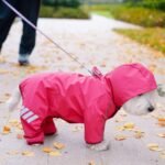 Dog Raincoat, Waterproof Dog Rain Jacket with Hood, Rain Coat with Leash Hole, Reflective Strap for Small Medium Dogs, Outdoor Adventures/Walking Lightweight Puppy（Pink,S） - Image 6
