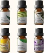 Essential Oils Set by Pure Aroma - Top 6 Aromatherapy Oils Gift Set-6 Pack, 10ml (Eucalyptus, Lavender, Lemongrass, Sweet Orange, Peppermint, Tea Tree) - Image 7
