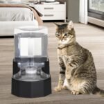 Sfozstra 5L Cat Gravity Water Bowl Dispenser: Stainless Steel Bowl | No Power Needed / No Filter Required / Spill Proof Design / Easy Cleaning / Cats & Small Dogs / Home Crate Area & Travel - Image 8