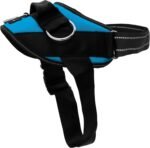 ShawnCo Essential Dog Harness, No-Pull Pet Vest with 3 Leash Clips, No Choke, Reflective, Adjustable and Padded, for Easy Walking and Training for Small, Medium and Large Dogs (Oceanic Blue, S) - Image 2