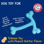 Arm & Hammer Nubbies T-Bone Dental Dog Chew Toy, Peanut Butter Flavor | Durable nylon and TPR nubs clean teeth and gums, built for aggressive chewers - Image 3