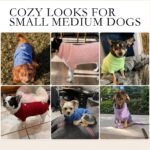 Small Dog Sweaters, Soft Knit Cold Weather Turtleneck Dog Clothes, Lightweight Warm Puppy Sweater for Chihuahua, Dachshund, Shih Tzu, Yorkie (Dark Blue, M) - Image 7