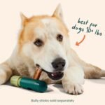 WOOF BullySafe Bully Stick Holder for Dogs | Fits dogs 10+ lbs, secures bully sticks, extends chew time, easy to clean, reusable design - Image 7