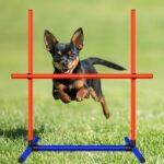 Dog Agility Training Equipment, 2-Sets Adjustable Dog Jumps & Hurdles Set for Backyard, Outdoor Dog Obstacle Course Training Starter Kit with Weave Poles and Carrying Bag for Large Small Dogs - Image 6