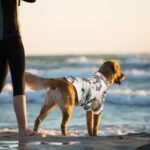 Weewooday 4 Pieces Small Pet Summer T-Shirts Hawaii Style Floral Pet Dog Shirt Breathable Cool Clothes Beach Seaside Puppy Sweatshirt for Puppy(Floral Style,Small) - Image 5