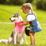 16 Pcs Tie Dye Dog Bandanas Rainbow Triangle Bulk Scarf for Dogs Pets Kerchief Washable Cute Bib for Small Medium Large Dogs Puppy Cats(Vivid Style) - Image 5