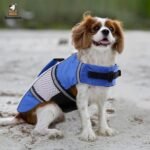 Dog Life Jacket Swimming Vest Lightweight High Reflective Pet Lifesaver with Lift Handle, Leash Ring Blue,XS - Image 6