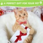 Reginary 100 Pieces Dog Bow Tie Collar Set for Small Medium Includes 50 Neckties and 50 Bow Ties Adjustable Cat Dog Bowties Neckties Puppy Cat Hawaii Summer Spring Style Grooming Accessories - Image 8