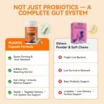 Probiotics for Dogs & Cats, Digestive Health Capsules,90 Ct | Supports Daily Gut Balance, Healthy Stool & Digestive Comfort with Prebiotics for a Balanced Microbiome During Food Changes - Image 9