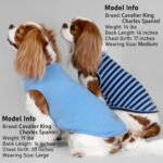 KYEESE 2Pack Cotton Dog Shirt for Small Dogs Soft Striped Tank Top | Reflective for Safety, Lightweight & Breathable, Gentle on Sensitive Skin, Stretchy & Free to Move, Comfortable Daily Wear - Image 8