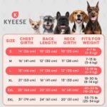 KYEESE 2Pack Cotton Dog Shirt for Small Dogs Soft Striped Tank Top | Reflective for Safety, Lightweight & Breathable, Gentle on Sensitive Skin, Stretchy & Free to Move, Comfortable Daily Wear - Image 7