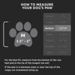 PawZ Rubber Dog Boots for Medium Paws - All-Weather Waterproof Dog Shoes, Anti-Slip Traction for Rain, Snow, Mud & Hot Pavement - Pull-On Dog Booties, Black - Medium (2.5" - 3") - Pack of 12 - Image 4