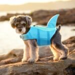 EMUST Large Dog Life Jacket, Pet Life Vests for Swimming, Small/Medium/Large Dog Flotation Vest with Rescue Handle for Water at Pool, Beach, Boating (XL,Pool Blue) - Image 7