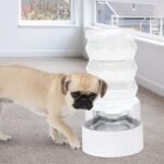 RIZZARI 6.5L Stainless Steel Dog Water Dispenser:Anti Spill for Medium Dogs | Stainless Steel Bowl / No Electricity / Gravity Auto Refill / Stable Base / Easy Cleaning / Home Use - Image 9