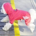 Dog Raincoat, Waterproof Dog Rain Jacket with Hood, Rain Coat with Leash Hole, Reflective Strap for Small Medium Dogs, Outdoor Adventures/Walking Lightweight Puppy（Pink,S） - Image 9