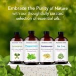 Majestic Pure Peppermint Essential Oil for Diffuser - 4 Fl Oz | 100% Natural Essentials Oils for Aromatherapy, Massage, Steam inhalation, Air Freshner, DIY, Soap and Candle Making - Image 9