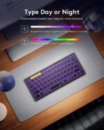 Samsers Full-Size Foldable Bluetooth Keyboard with Backlit for Phone -Black | 0.65in keycap, PU Leather Cover, Backlight, Mobile Working, Phone Stand, BT 5.1 x 3, On-the-go, for Travel Business Use - Image 3