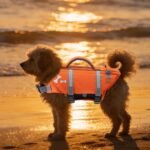 EMUST Pet Life Jackets, Dog Life Vests for Swimming, Beach Boating with Superior Buoyancy, Dog Flotation Vest for Small Dogs, S, NewOrange - Image 7