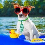 Reginary 120 Pcs Dog Bow Ties Bulk Summer for Dogs Adjustable Puppy Bowtie Collar Pet Bow Neckties Fruit Hawaii Pet Neckties for Dog Cats Puppy Holiday Grooming Accessories - Image 5