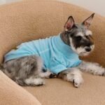 Fitwarm 3 Pack Classic Fleece Sweater, Turtleneck Sweatshirt, Winter Clothes for Small Dogs, Cat Apparel, Blue, Grey, Navy, Medium - Image 5