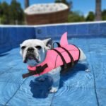 Small Dog Life Jacket Shark Light Puppy Life Vest for Swimming | Dog Life Vest for Boating Kayaking Canoeing - High Buoyancy Reflective Pet Lifesaver with Rescue Handle/ Leash Hook Pink,XS - Image 7