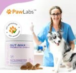 Gut Max Probiotic Chews - Natural, Vet Formulated Digestive & Immune Support - Relieves Diarrhea, Constipation - with Patented BC30™ Bacillus Coagulans - Duck Flavor - 90 Soft Chews - Image 10