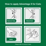 Advantage II Kitten Vet-Recommended Flea Treatment & Prevention | Cats 2-5 lbs. | 2-Month Supply - Image 10