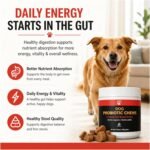 Dog Probiotics Chews - Gut Health - Salmon - 60 Chews - Image 5