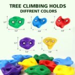 TOPNEW 12 Ninja Tree Climbing Holds for Kids Climber, Adult Climbing Rocks with 6 Ratchet Straps for Outdoor Ninja Warrior Obstacle Course Training - Image 4