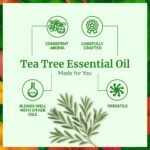 SVA Tea Tree Essential Oil, Glass Bottle with Dropper, 4 Fl Oz (118 ml) | Tea Tree Oil for Hair Care, Scalp Care, Face Care, Skin Care, Nail Care, Diffuser, Humidifier, Soap Making & DIY Blending - Image 4