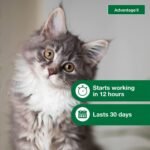 Advantage II Kitten Vet-Recommended Flea Treatment & Prevention | Cats 2-5 lbs. | 2-Month Supply - Image 6
