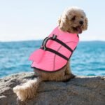 Small Dog Life Jacket Shark Light Puppy Life Vest for Swimming | Dog Life Vest for Boating Kayaking Canoeing - High Buoyancy Reflective Pet Lifesaver with Rescue Handle/ Leash Hook Pink,XS - Image 8