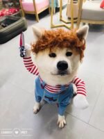 Pet Deadly Doll Dog Costume, Cosplay Halloween Christmas Funny Clothes Party Costume for Small Medium and Large Dogs (Small) - Image 8