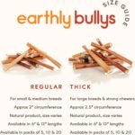 Earthly Maplewood Smoked Large Bully Sticks - Large Dog Chews, Thick Sticks - Grass Fed, All Natural, Made in Canada (12-inch, 10 Pack) - Image 4