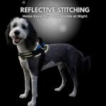 ShawnCo Essential Dog Harness, No-Pull Pet Vest with 3 Leash Clips, No Choke, Reflective, Adjustable and Padded, for Easy Walking and Training for Small, Medium and Large Dogs (Oceanic Blue, S) - Image 9
