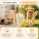 Probiotics for Dogs & Cats, Digestive Health Capsules,90 Ct | Supports Daily Gut Balance, Healthy Stool & Digestive Comfort with Prebiotics for a Balanced Microbiome During Food Changes - Image 6