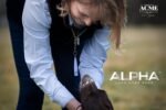 ACME Alpha 211.5 Professional Dog Training Whistle with Enhanced Ergonomic Grip. BPA-Free Plastic. 110 dBA. Long Range. Standardized Frequency. Weatherproof. Made in the UK (Baltic Blue) - Image 7
