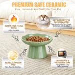 Raised Cat Bowl - Elevated Ceramic Cat Bowls for Indoor Cats, Shallow Cat Food Dish Whisker Friendly, Porcelain Flat Faced Dog Bowl for Small Dogs, Protects Pet Spine, 6", Green - Image 5