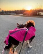Gooby Zip-Up Fleece Dog Sweater, Pink, Medium | Soft warm fleece; Step-in zip-up; Dual D-ring leash; Bottom-opening design; Machine washable - Image 4