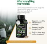 Zenmen Tick Immune Support Supplement - Improved Formula - Japanese Knotweed, Cat's Claw, Chinese Skullcap, Cryptolepis Sanguinolenta, Sweet Wormwood - 90 Vegan Capsules, Made in The USA - Image 3