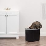 IRIS USA Large Top Entry Cat Litter Box, Hooded Privacy, Black/Gray | Multi-Cat Households, Protected Interior, Enclosed Top Access, Dog Proof Pan, Reduced Tracking, Odor Trapping - Image 10
