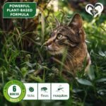 Natural Flea & Tick Collar for Cats - 6 Months Control of Best Prevention & Safe Treatment - Anti Fleas and Ticks Essential Oil Repellent (1 Pack) - Image 4